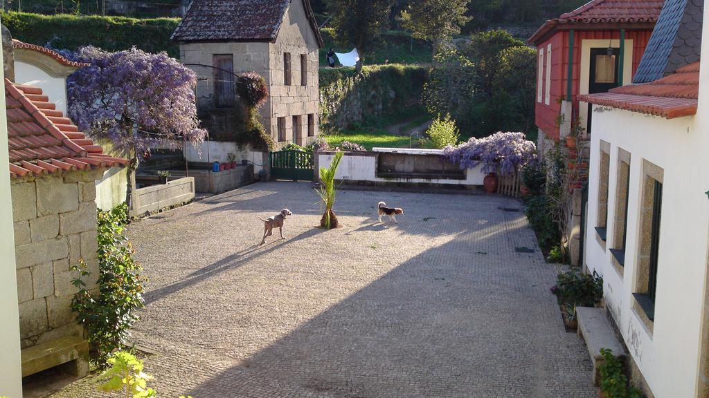 Quinta Da Ventuzela Hotel Cinfaes Bagian luar foto