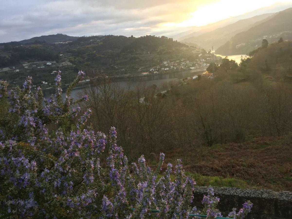 Quinta Da Ventuzela Hotel Cinfaes Bagian luar foto
